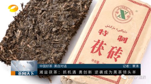 全國(guó)首屆黑白對(duì)話論壇 湘益茯茶以黑茶C位亮相的底氣何在